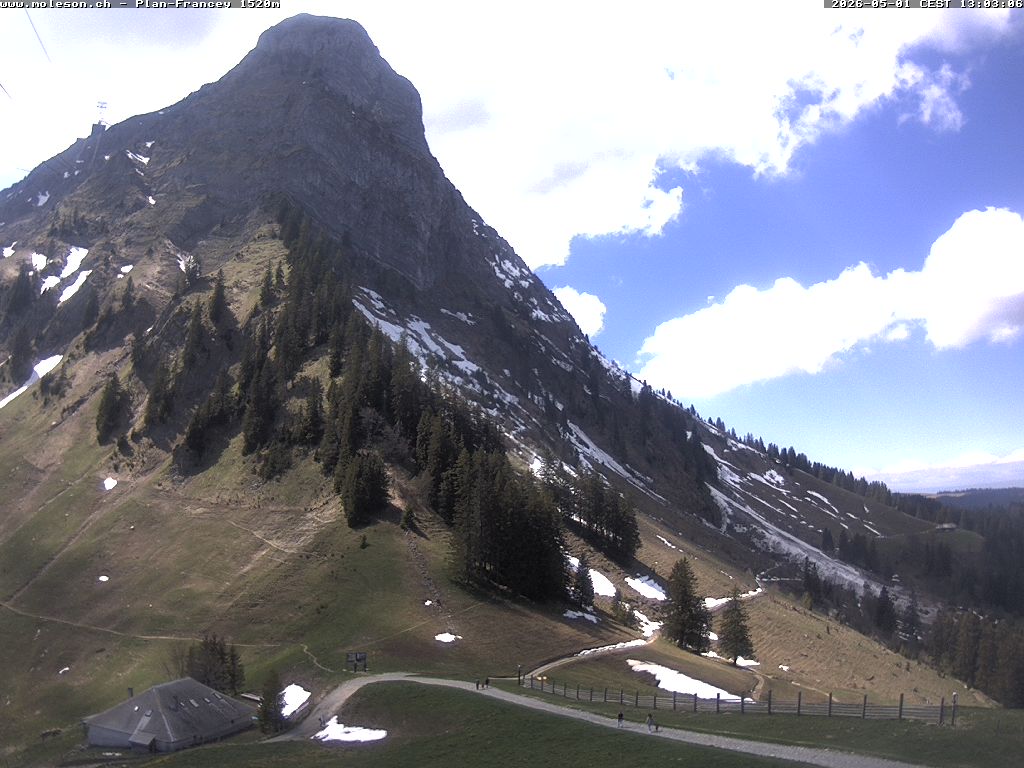 Plan-Francey - 1520 m