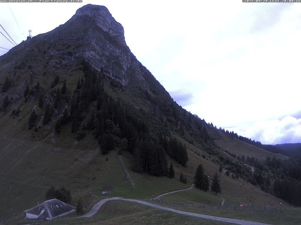 Plan-Francey - 1520 m