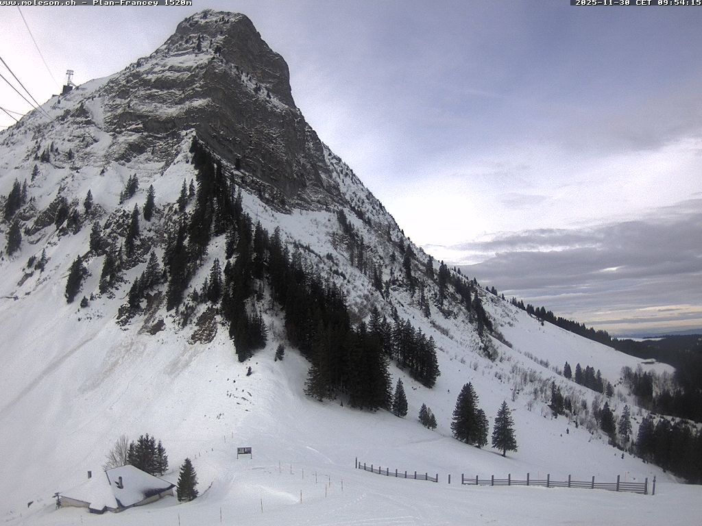 Plan-Francey - 1520 m