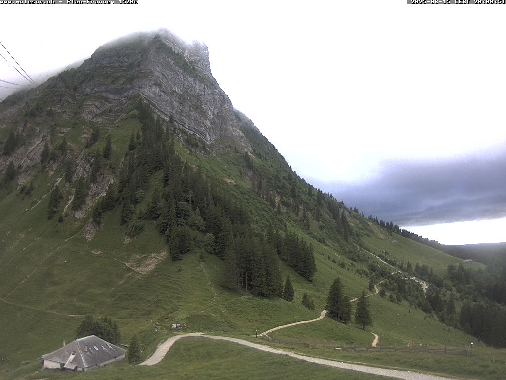 Plan-Francey - 1520 m