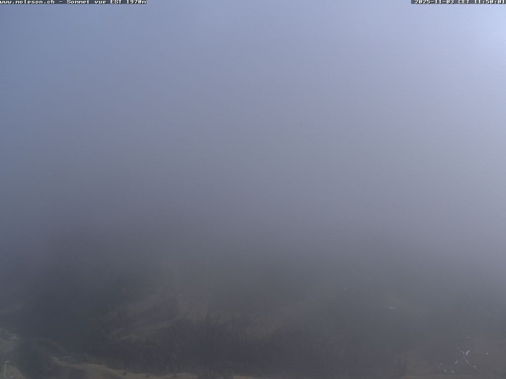 Sommet Est du Moléson - 2002 m