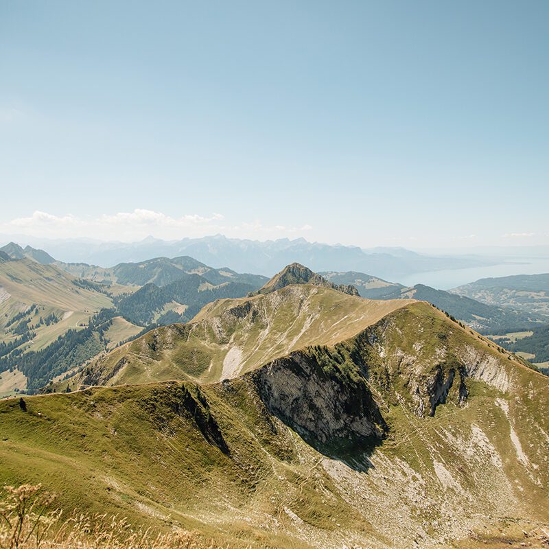 Mount Molson Accueil - moleson.ch : une montagne de loisirs